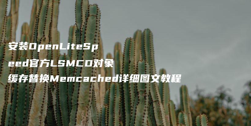 安装OpenLiteSpeed官方LSMCD对象缓存替换Memcached详细图文教程插图