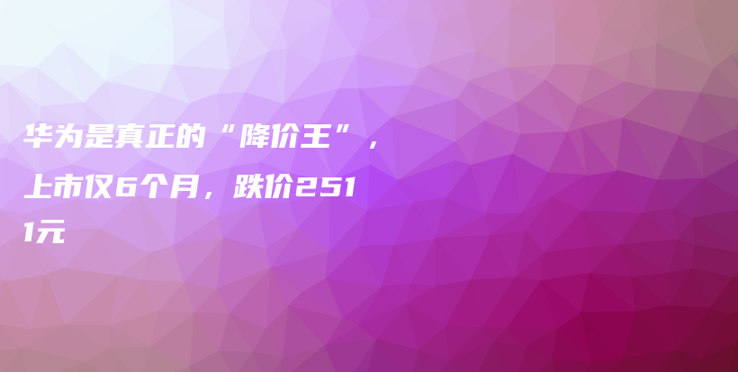 华为是真正的“降价王”，上市仅6个月，跌价2511元插图