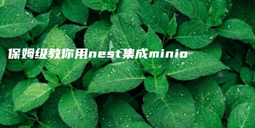 保姆级教你用nest集成minio插图