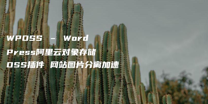 WPOSS – WordPress阿里云对象存储OSS插件 网站图片分离加速插图