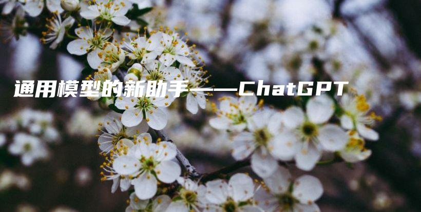 通用模型的新助手——ChatGPT插图