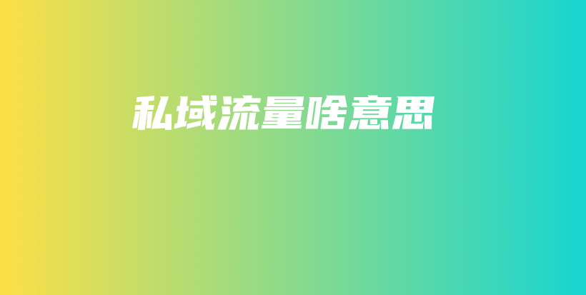 私域流量啥意思插图