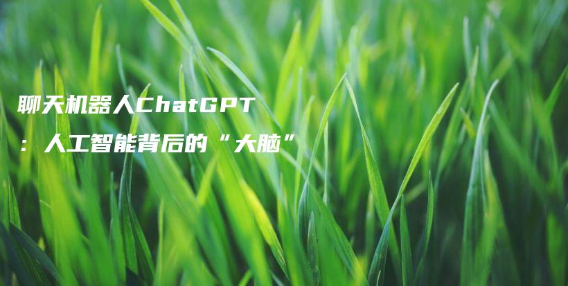 聊天机器人ChatGPT：人工智能背后的“大脑”插图