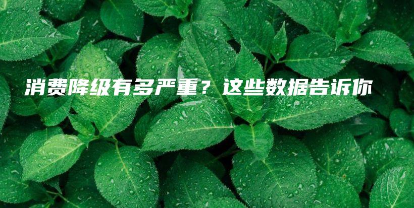 ​消费降级有多严重？这些数据告诉你插图